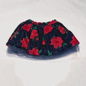 Janie and Jack Baby Girl Velvet Skirt Floral Tulle 6–12M Navy Party Cute